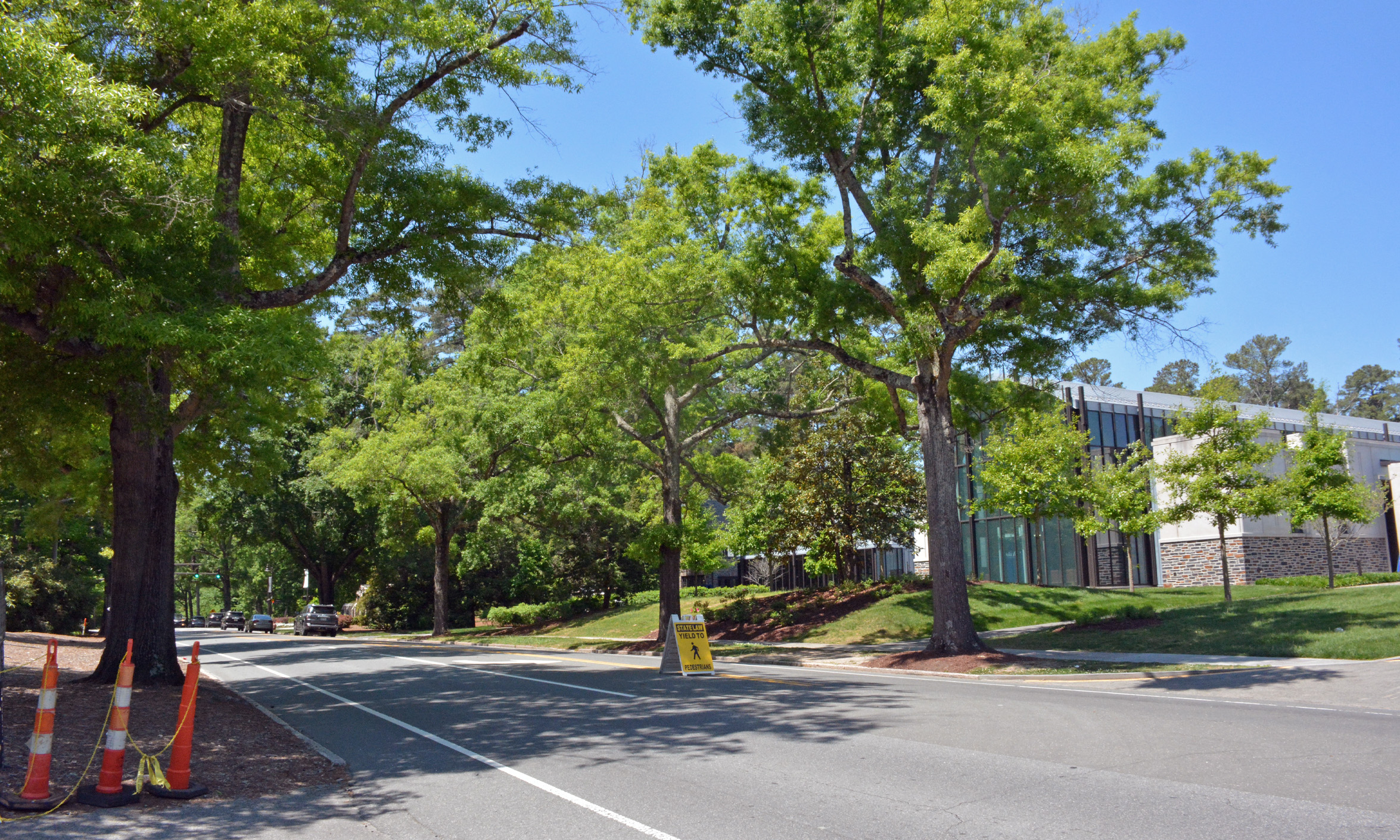 Campus Summer Construction Projects for 2024 Duke Today